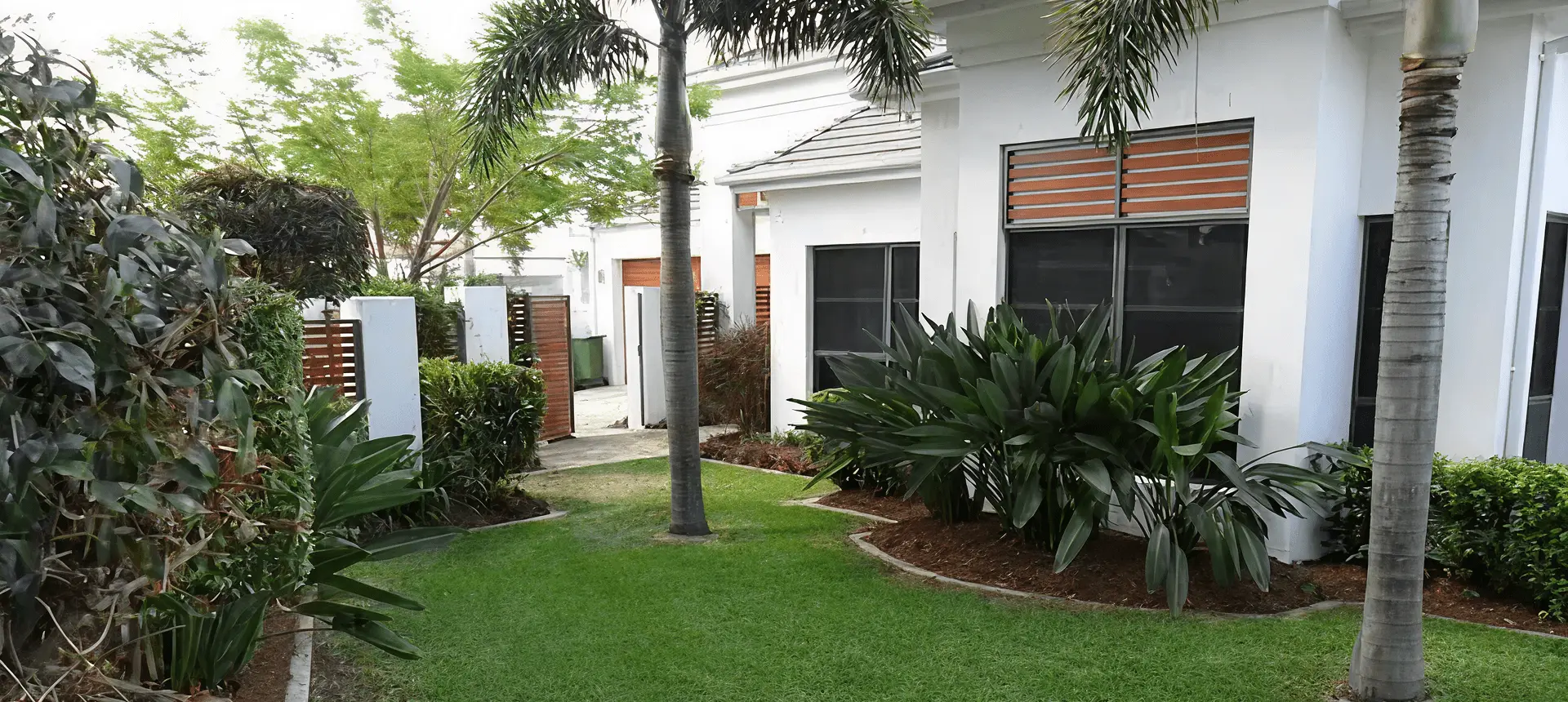 Well kept lawn and garden at a Gold Coast home