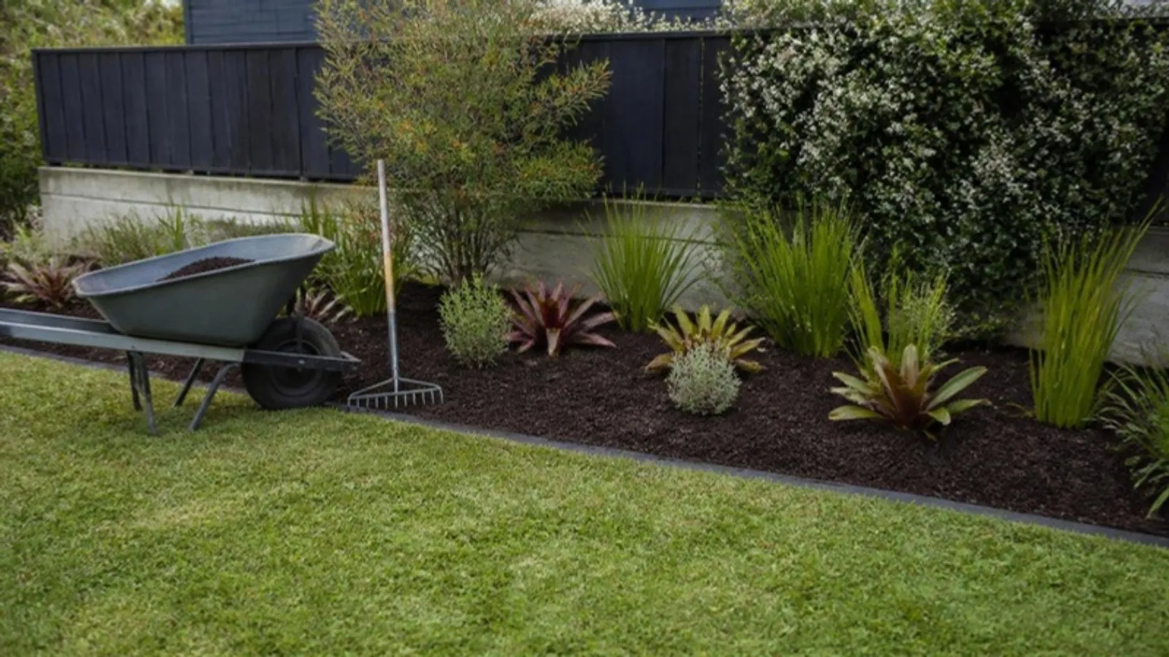 Freshly mulched garden beds with native plants and a wheelbarrow