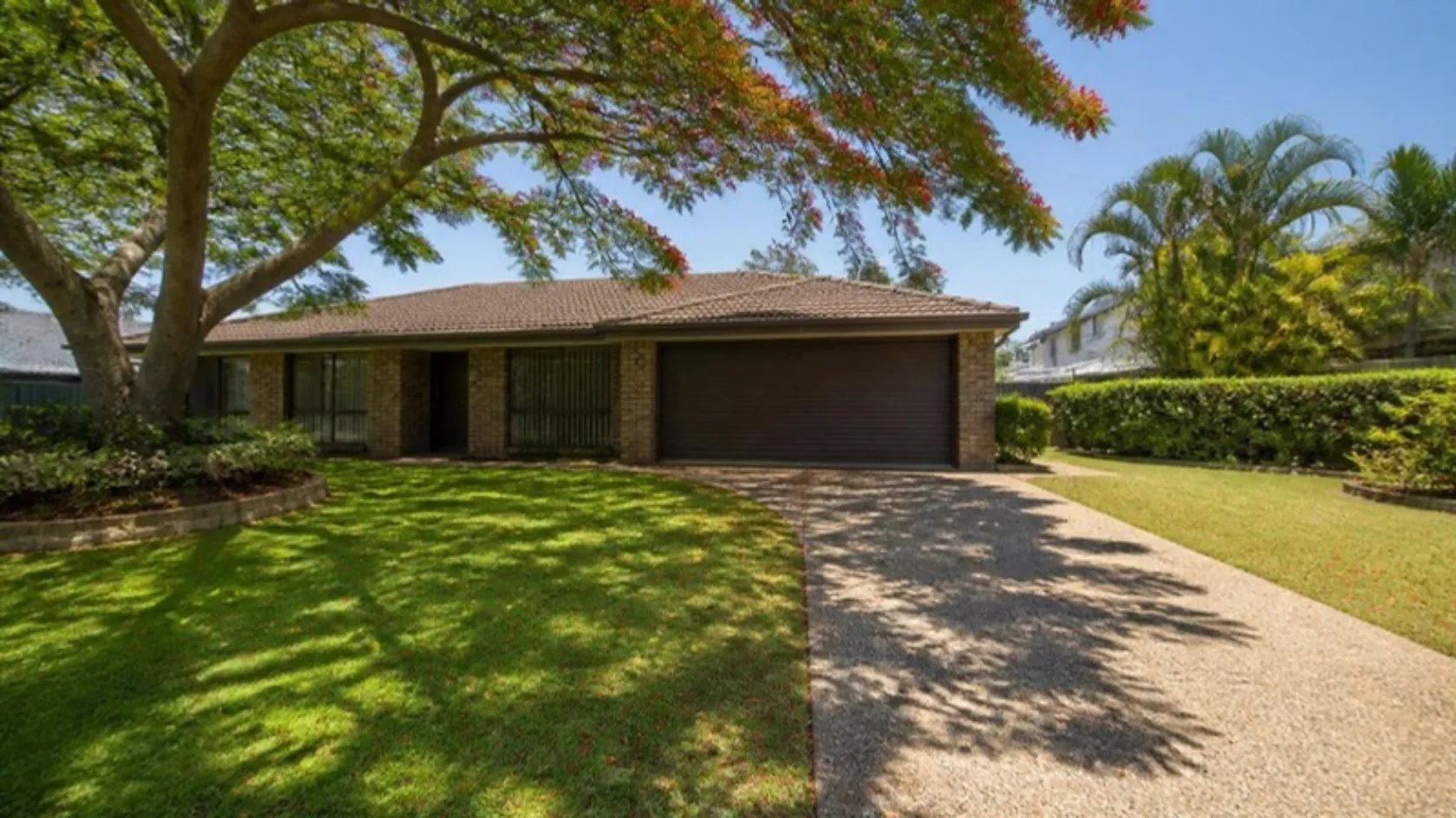 Large mown front lawn under a shady poinciana tree